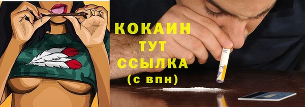 прущие крисы Армянск