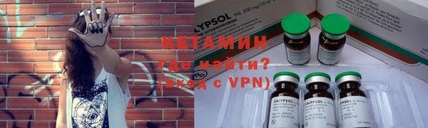 прущие грибы Аркадак
