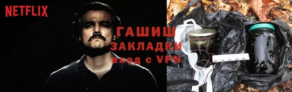прущие грибы Аркадак