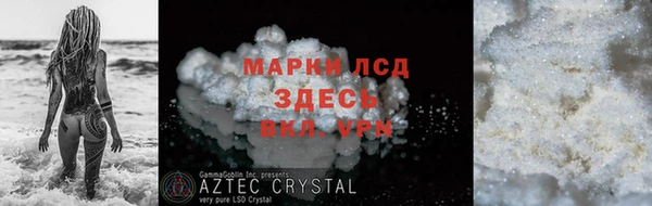прущие грибы Аркадак