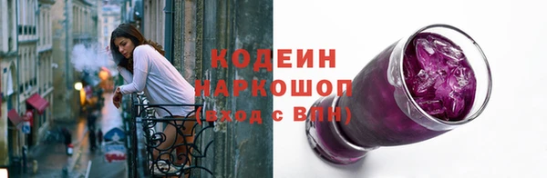 ПСИЛОЦИБИНОВЫЕ ГРИБЫ Арсеньев
