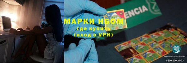 прущие грибы Аркадак