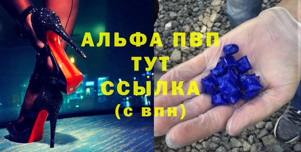 прущие грибы Аркадак