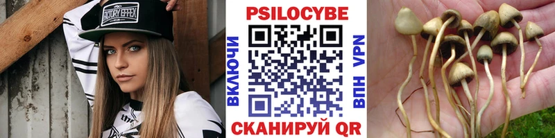 цены наркотик  Судак  Галлюциногенные грибы GOLDEN TEACHER 